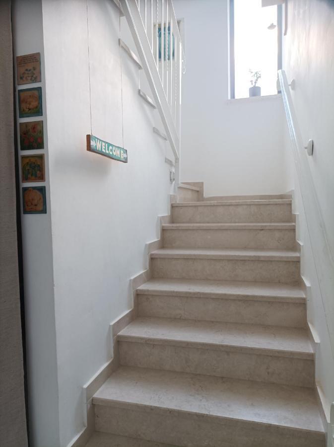 נוגה בגולן Apartment Qaşrīn Екстериор снимка